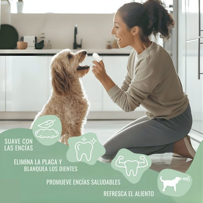 DentaFresh - Toallitas de Limpieza y Protección Dental para Perros