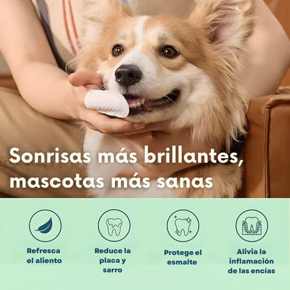 DentaFresh - Toallitas de Limpieza y Protección Dental para Perros