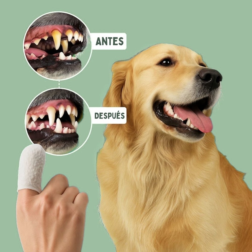 DentaFresh - Toallitas de Limpieza y Protección Dental para Perros