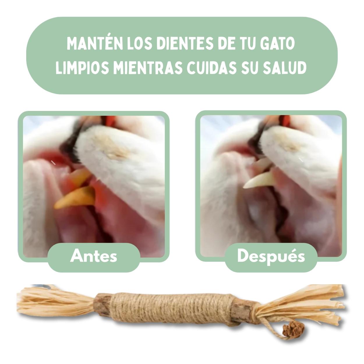 Palitos Dentales de Silvervine para Gatos