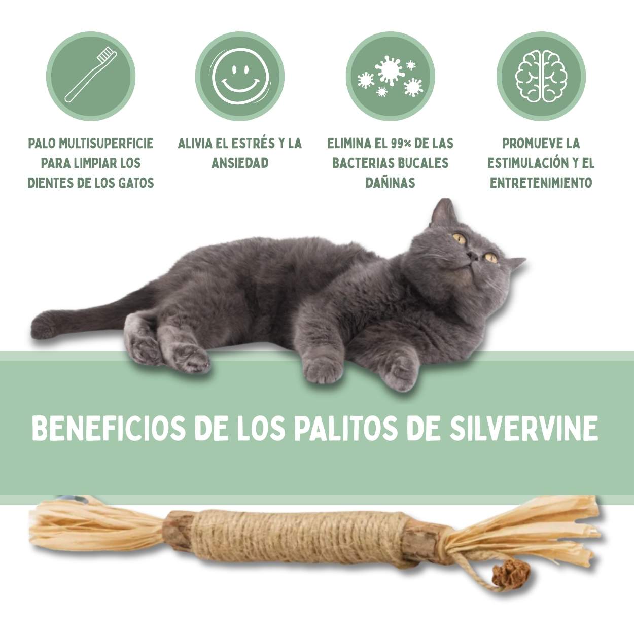 Palitos Dentales de Silvervine para Gatos