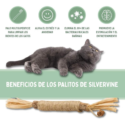 Palitos Dentales de Silvervine para Gatos
