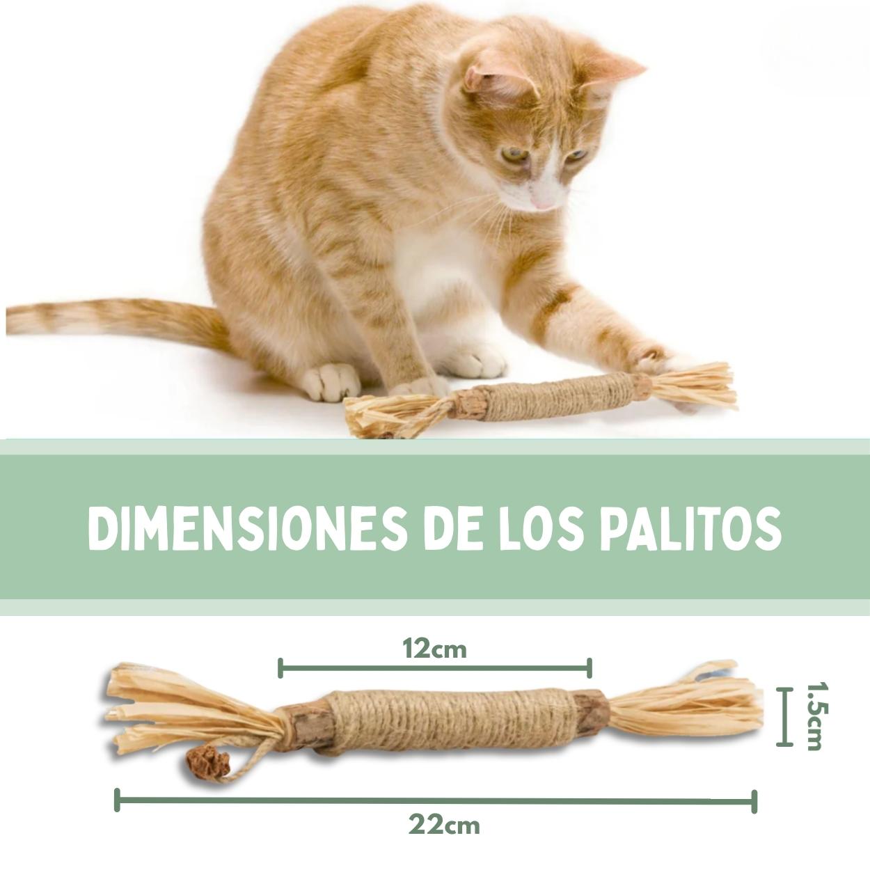 Palitos Dentales de Silvervine para Gatos