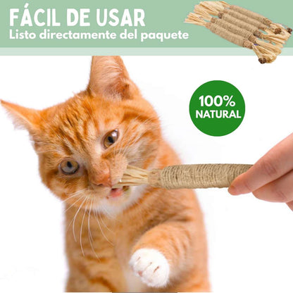 Palitos Dentales de Silvervine para Gatos