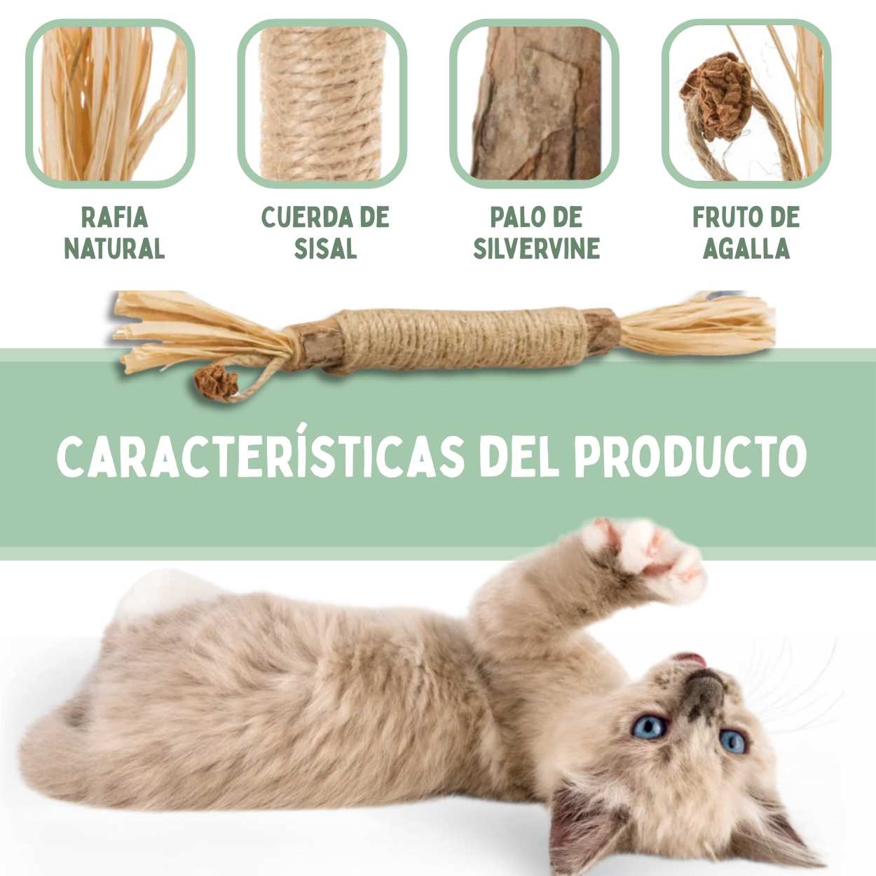 Palitos Dentales de Silvervine para Gatos