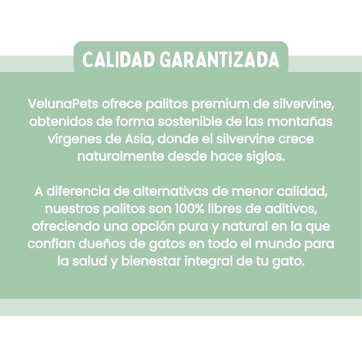 Palitos Dentales de Silvervine para Gatos