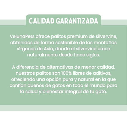 Palitos Dentales de Silvervine para Gatos