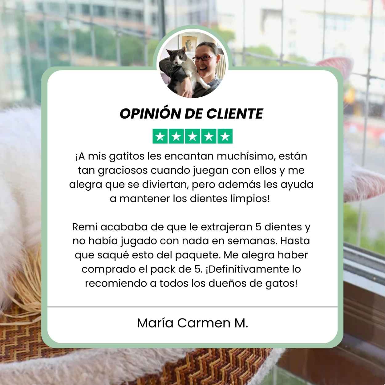 Palitos Dentales de Silvervine para Gatos