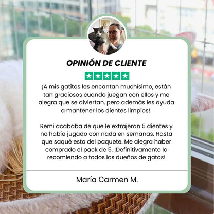 Palitos Dentales de Silvervine para Gatos