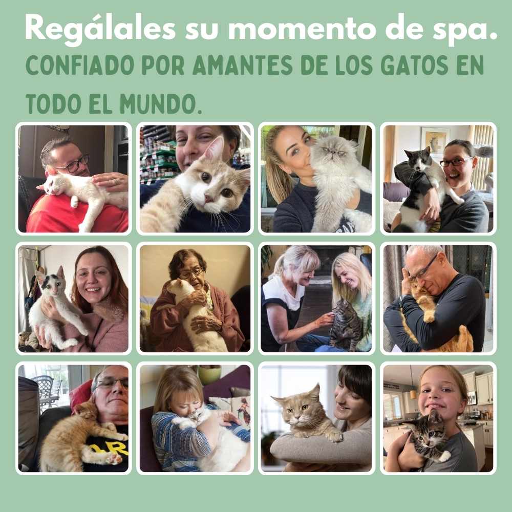 Cepillo de Vapor Multifuncional 4 en 1 para gatos