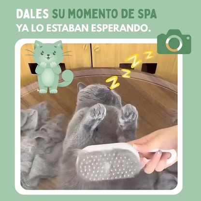 Cepillo de Vapor Multifuncional 4 en 1 para gatos
