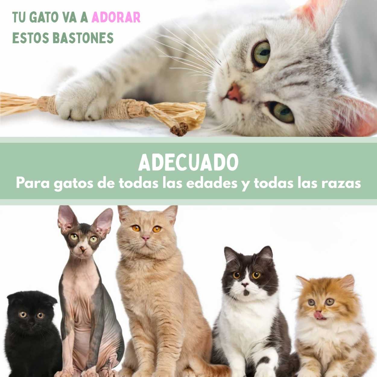 Palitos Dentales de Silvervine para Gatos