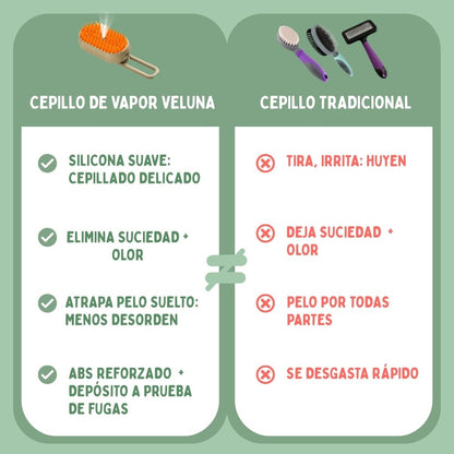 Cepillo de Vapor Multifuncional 4 en 1 para gatos