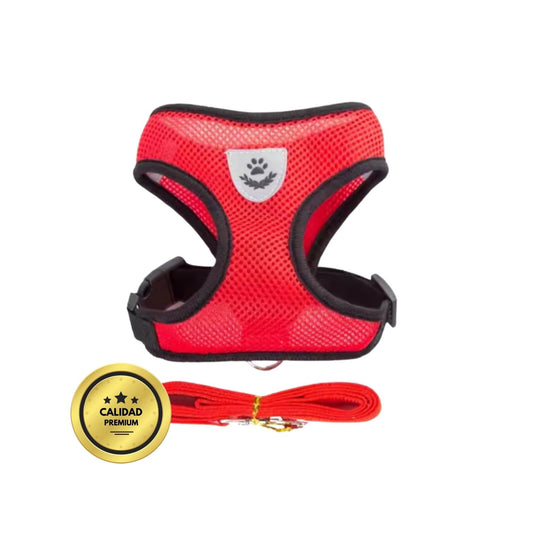 ARNÉSFLEX - Arnés ajustable para paseos para gatos