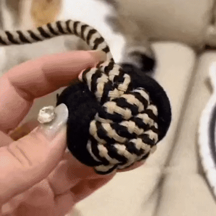 Alfombra de rascado y diversión con forma de gato