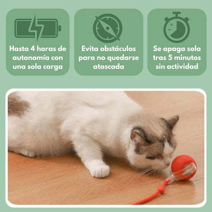 PELOTAVIVA - Pelota inteligente 100% autónoma para gatos