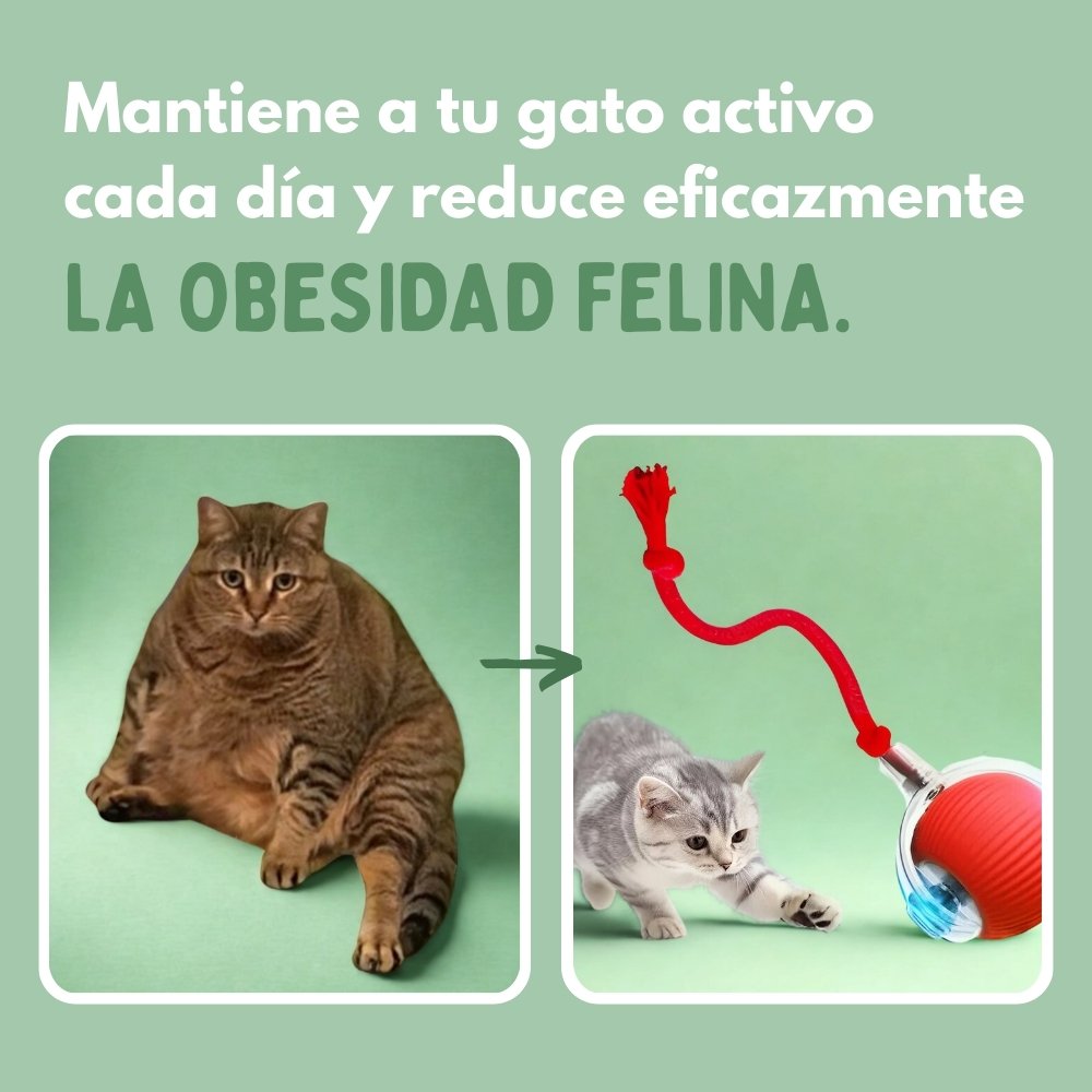 PELOTAVIVA - Pelota inteligente 100% autónoma para gatos