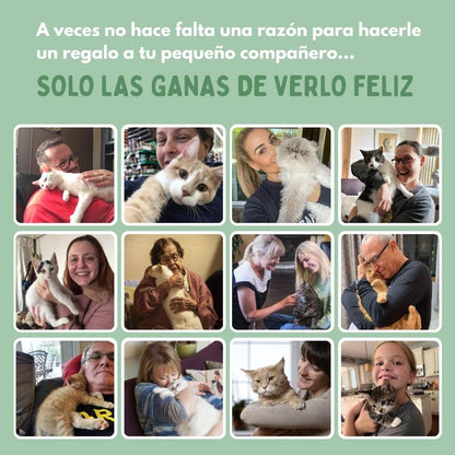 PELOTAVIVA - Pelota inteligente 100% autónoma para gatos