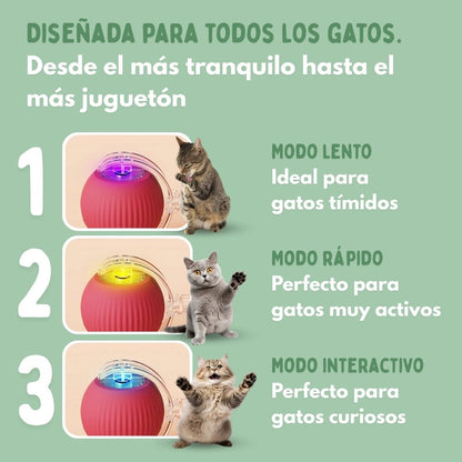 PELOTAVIVA - Pelota inteligente 100% autónoma para gatos