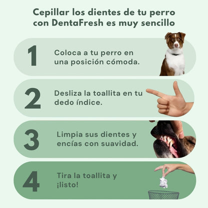 DentaFresh - Toallitas de Limpieza y Protección Dental para Perros