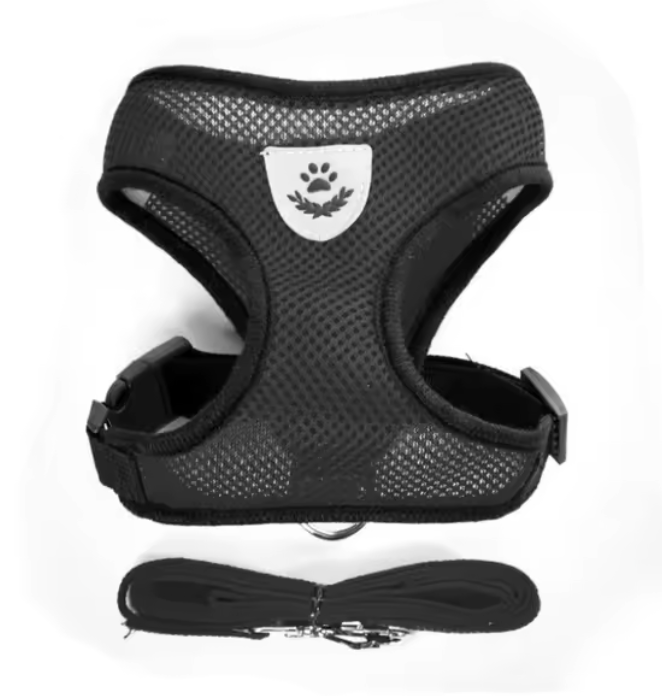 ARNÉSFLEX - Arnés ajustable para paseos para gatos