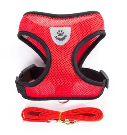 ARNÉSFLEX - Arnés ajustable para paseos para gatos