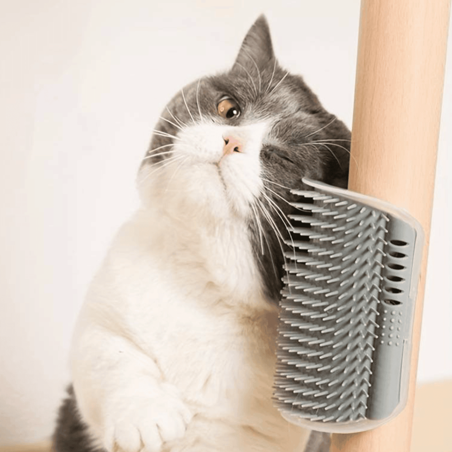 RASCACORNER - Esquina de masaje mural para gatos