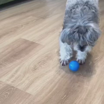 PELOTASALTA - La pelota que salta y cambia de dirección, manteniendo a tu perro activo y entretenido