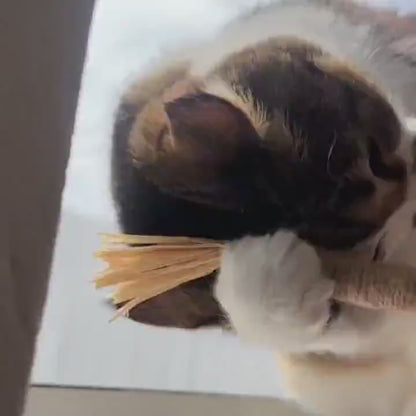 Palitos Dentales de Silvervine para Gatos